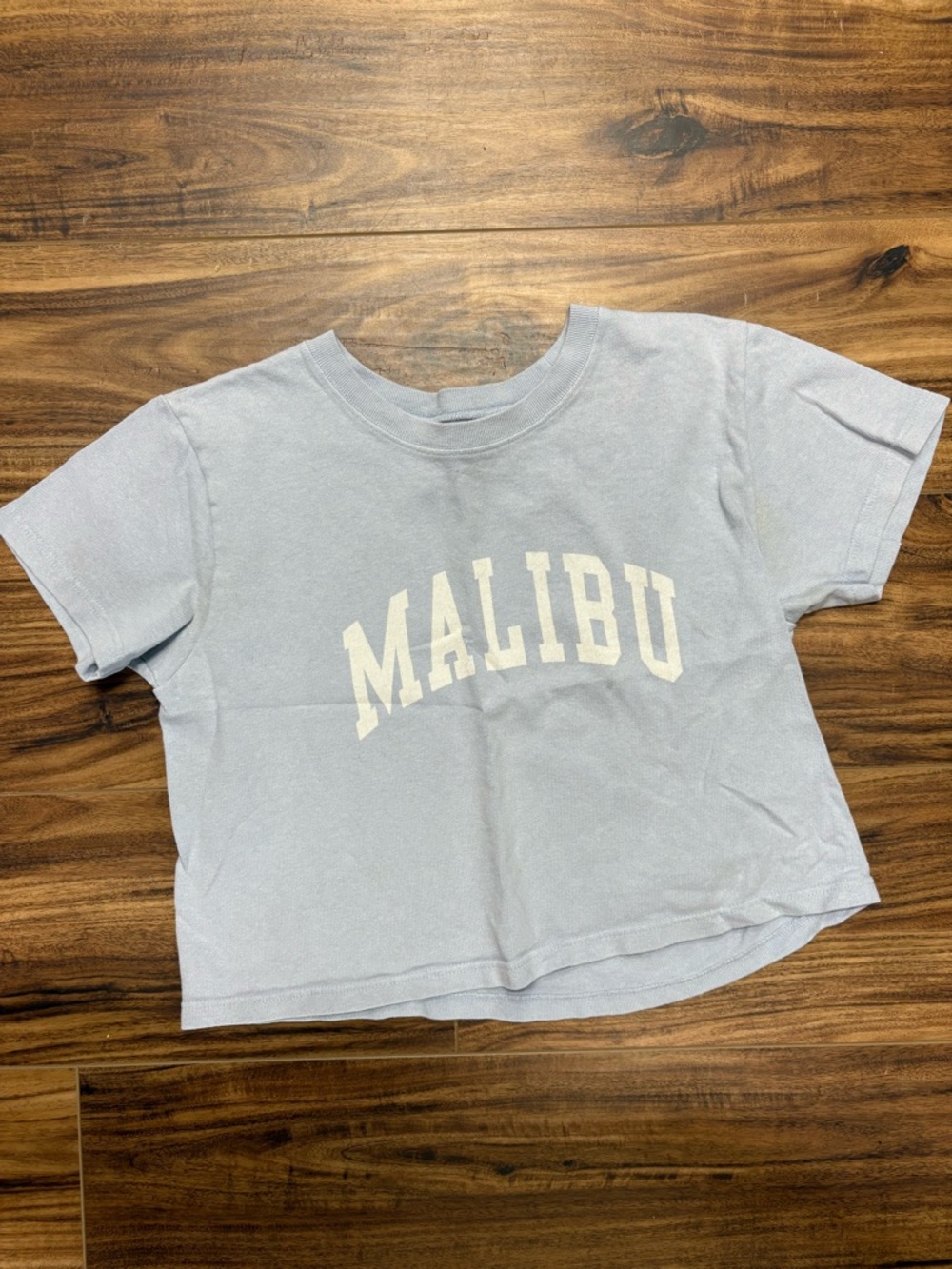 John Galt by Brandy Melville light blue Malibu raw cropped t-shirt, gently worn